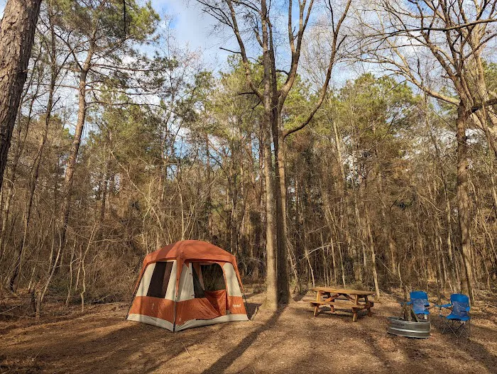 Evergreen Camping Adventures Picture 3