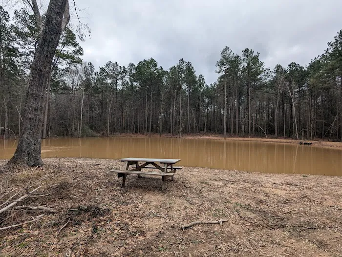 Evergreen Camping Adventures Picture 1