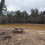 Evergreen Camping Adventures