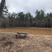 Evergreen Camping Adventures ico