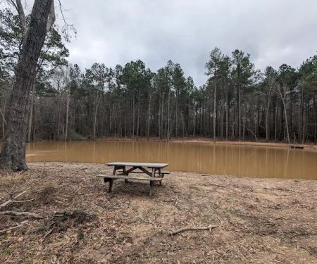 Evergreen Camping Adventures