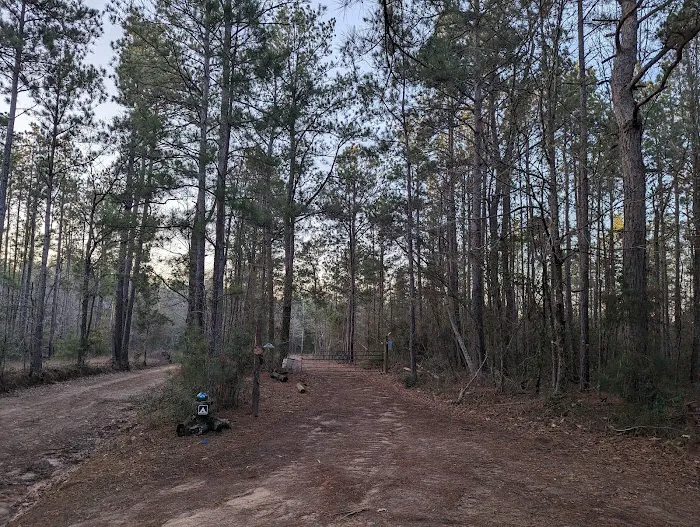 Evergreen Camping Adventures Picture 2