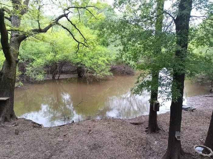 Loggy bayou camp ground Picture 5