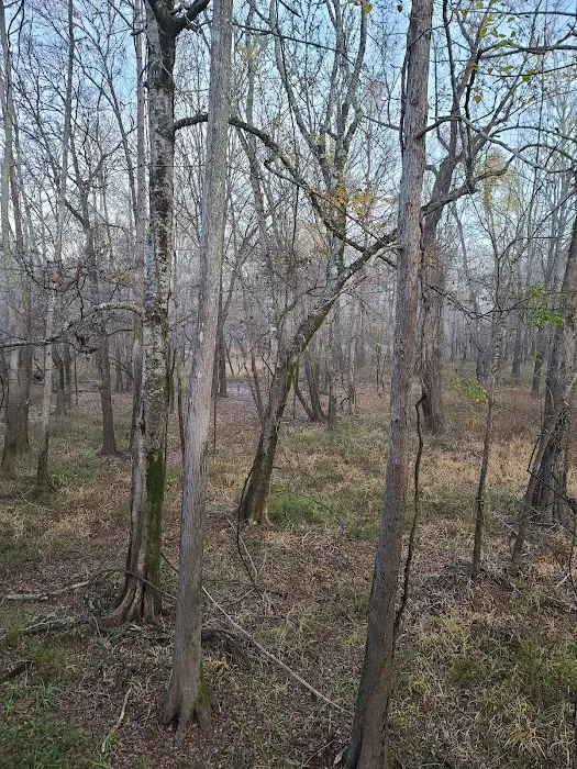 Loggy bayou camp ground Picture 4