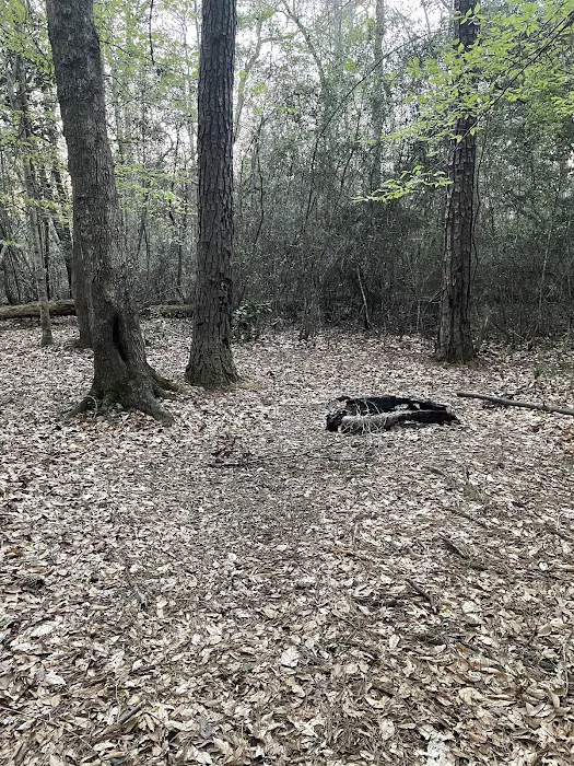 Turkey Creek Trail Campground Picture 6