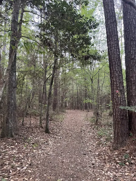 Turkey Creek Trail Campground Picture 5