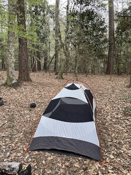 Turkey Creek Trail Campground Picture 4