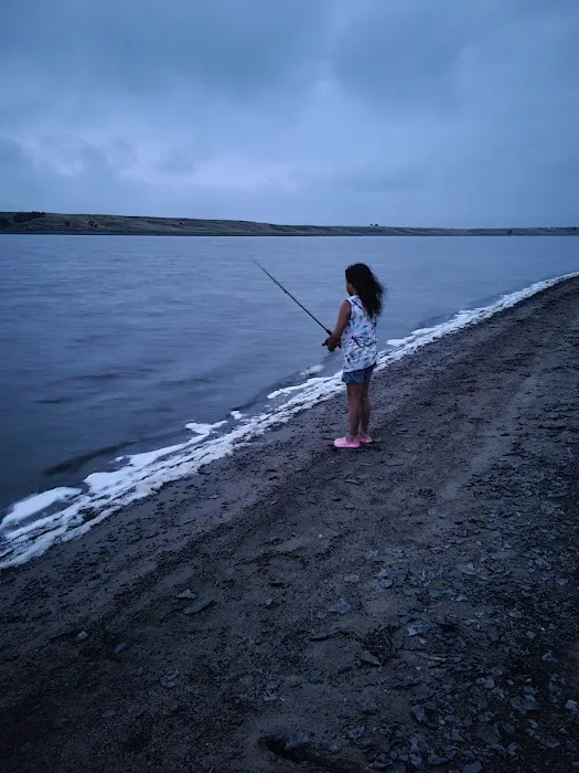 Lazy Fish at Pelican Point Picture 5