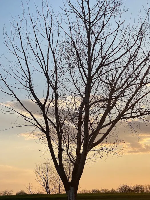 Jamestown Campground Picture 2