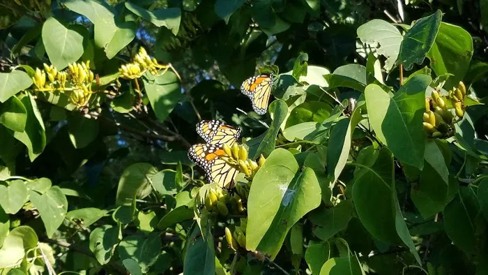 Jamestown Campground Picture 3