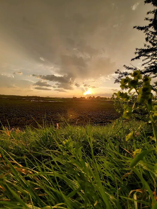 Jamestown Campground Picture 8