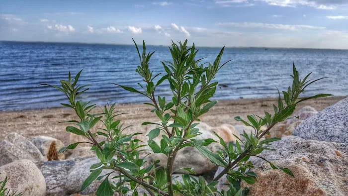 West Bay Heights Picture 6