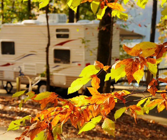 Uncle Mike's Campground Picture 10