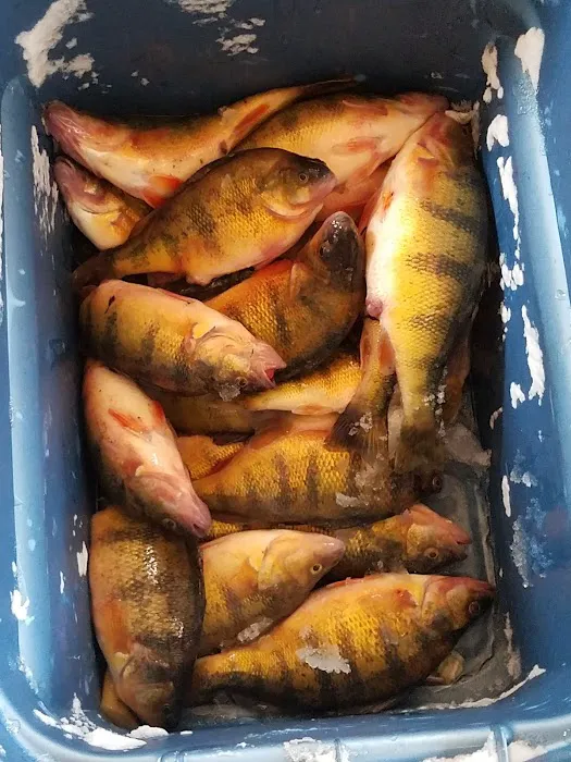 Drifters Resort Picture 5