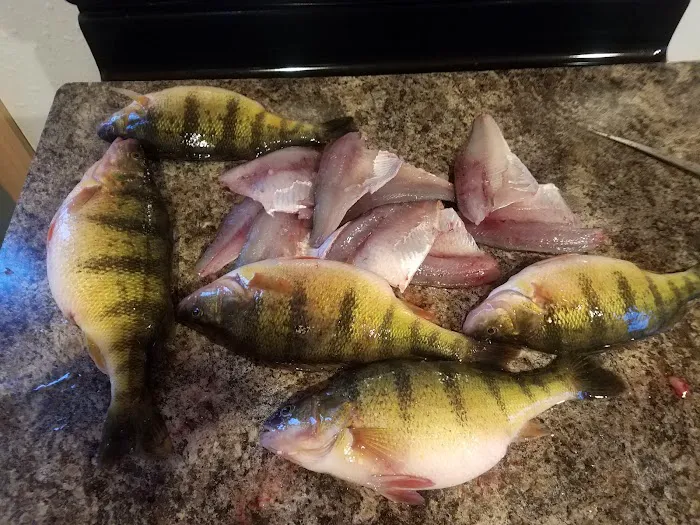 Drifters Resort Picture 4