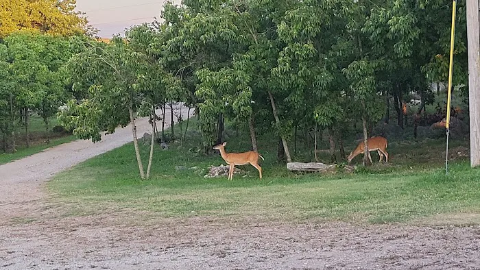 Turner Falls Camp Ground Picture 10