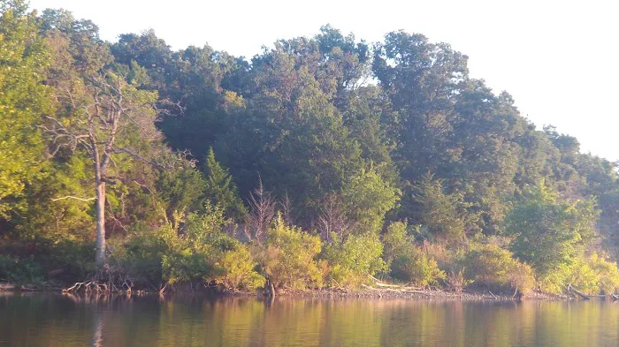 Buckhorn Campground Loop B Picture 10