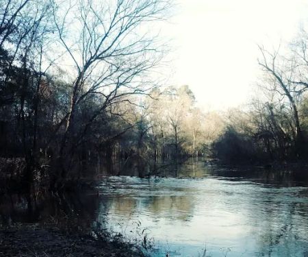 Holly Bluff Campground