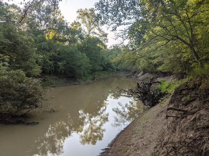 Holly Bluff Campground Picture 2