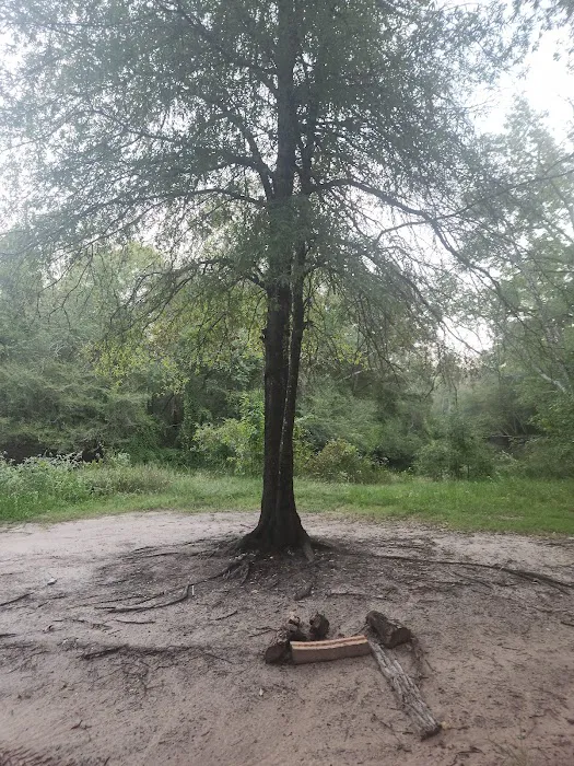 Holly Bluff Campground Picture 6