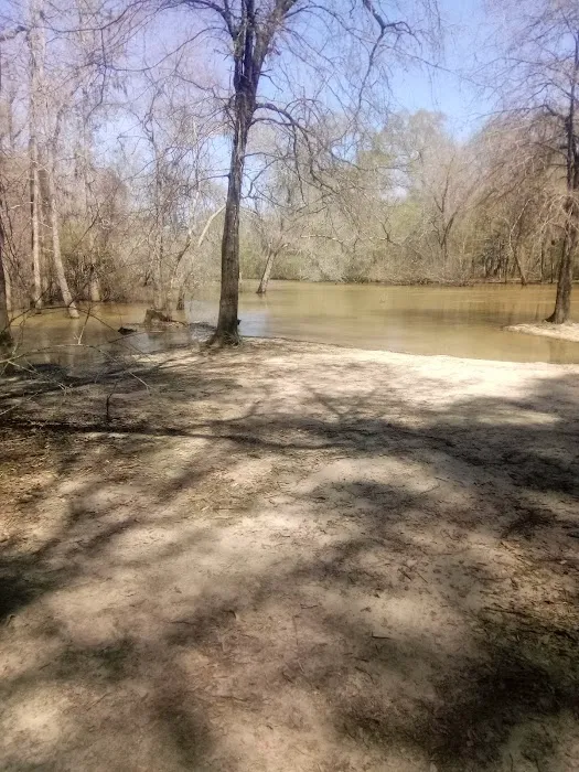 Holly Bluff Campground Picture 9