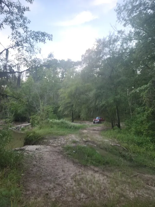 Holly Bluff Campground Picture 4