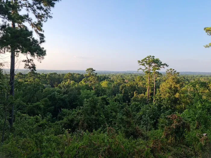 Neches Bluff Campground Picture 4