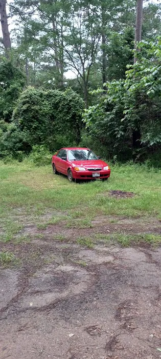 Neches Bluff Campground Picture 1