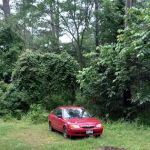 Neches Bluff Campground