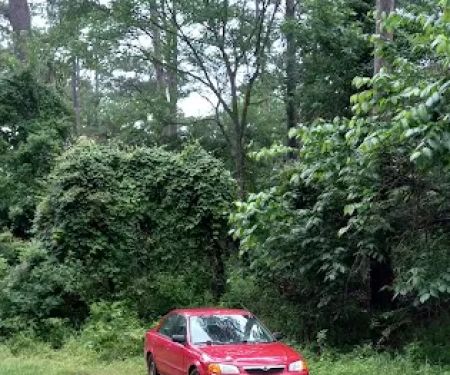 Neches Bluff Campground