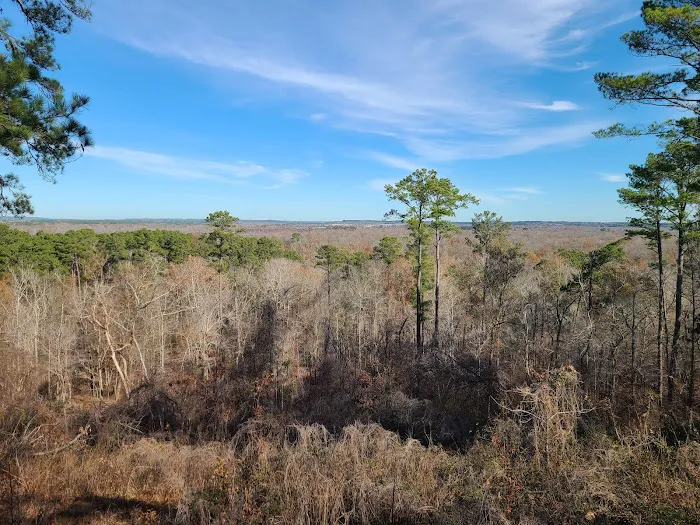 Neches Bluff Campground Picture 7