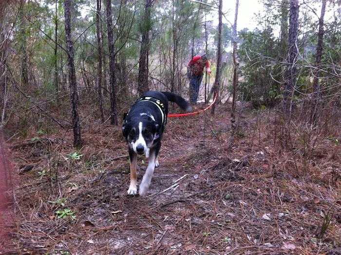 Neches Bluff Campground Picture 10
