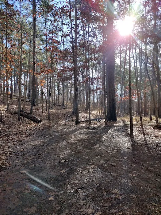 Neches Bluff Campground Picture 5