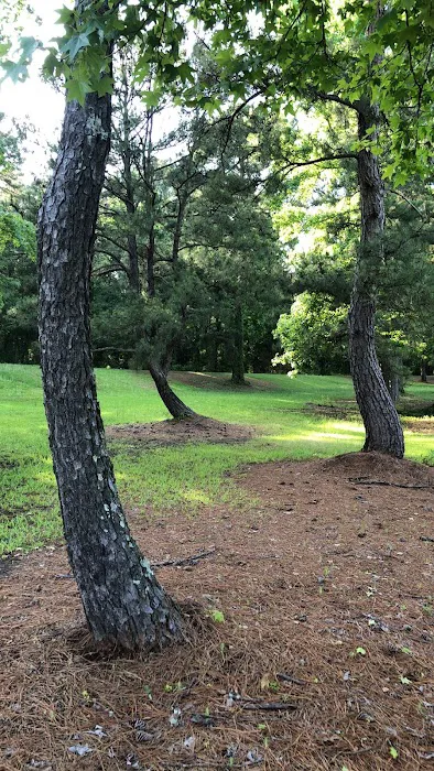 Hilltop Campgrounds Picture 1