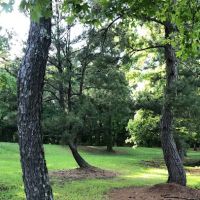 Hilltop Campgrounds ico