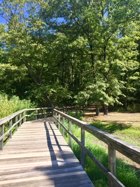 Cypress Black Bayou Recreation and Water Conservation District Picture 3