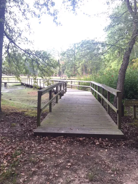 Cypress Black Bayou Recreation and Water Conservation District Picture 9