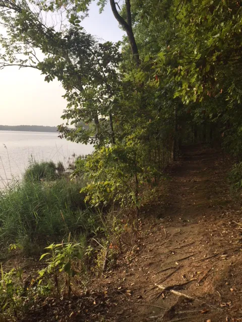 Cypress Black Bayou Recreation and Water Conservation District Picture 6