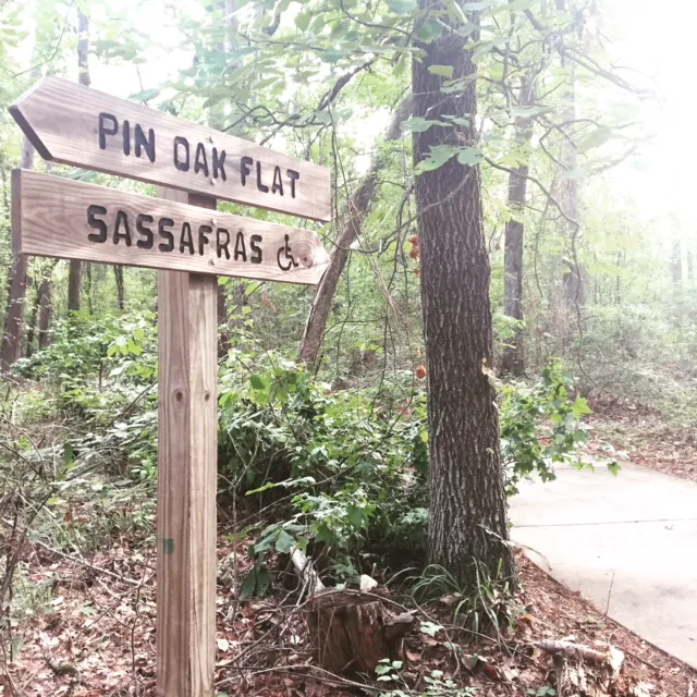 Cypress Black Bayou Recreation and Water Conservation District Picture 5