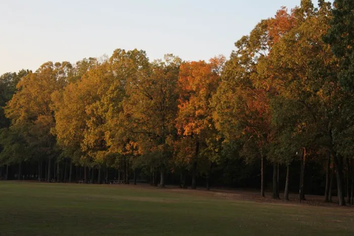 Cypress Black Bayou Recreation and Water Conservation District Picture 4