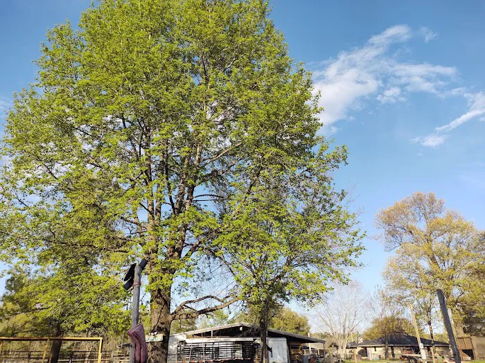 La Finca Camp Picture 5