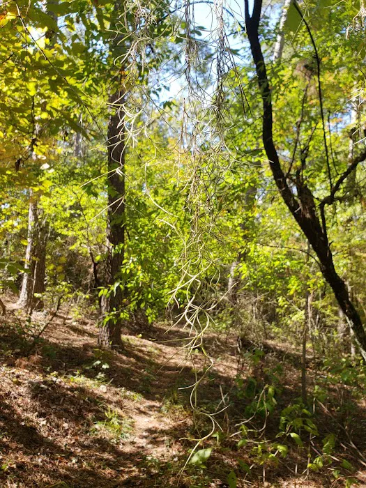 Bodcau Campgrounds Picture 5