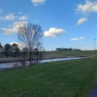 Bodcau Campgrounds ico