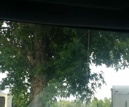 Thomson Lake Recreation Park