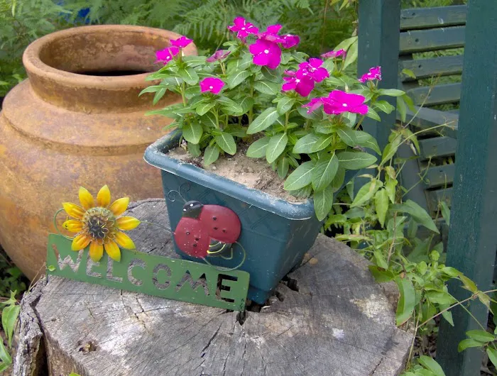 Woodsy Hollow Campground & RV Resort Picture 5