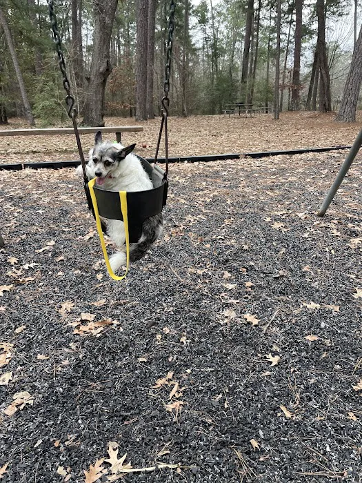 Pin Oak Loop Campground Picture 6