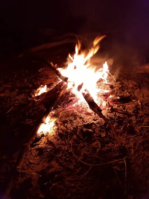 Piney Creek Horse Camp Picture 6