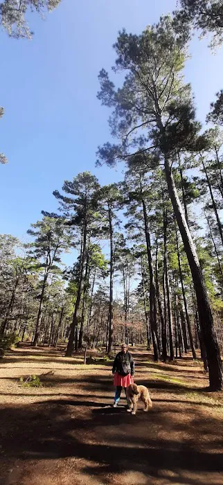 Piney Creek Horse Camp Picture 2