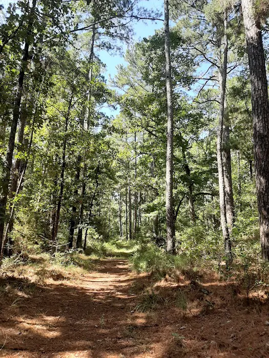 Piney Creek Horse Camp Picture 9