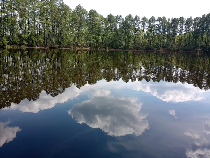 Pineywoods Camp Picture 8